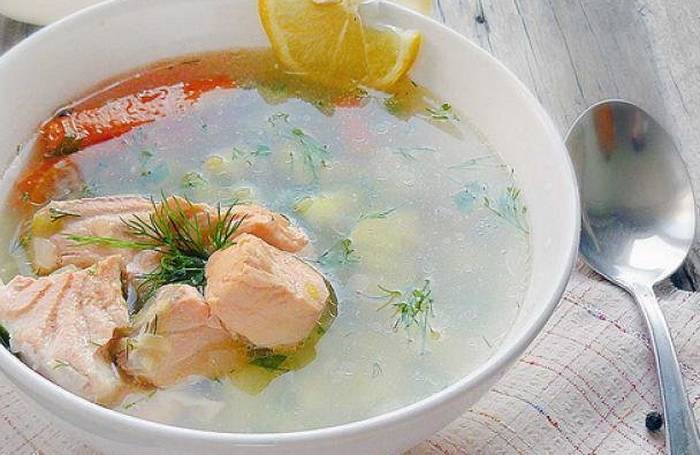 Уха из красной рыбы - оригинальные рецепты вкусного и сытного супа