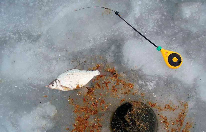 Ловля леща зимой: выбор снасти и оснастки для рыбалки со льда