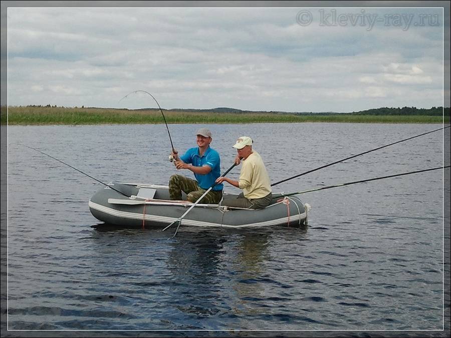 Рыбалка в витебской области