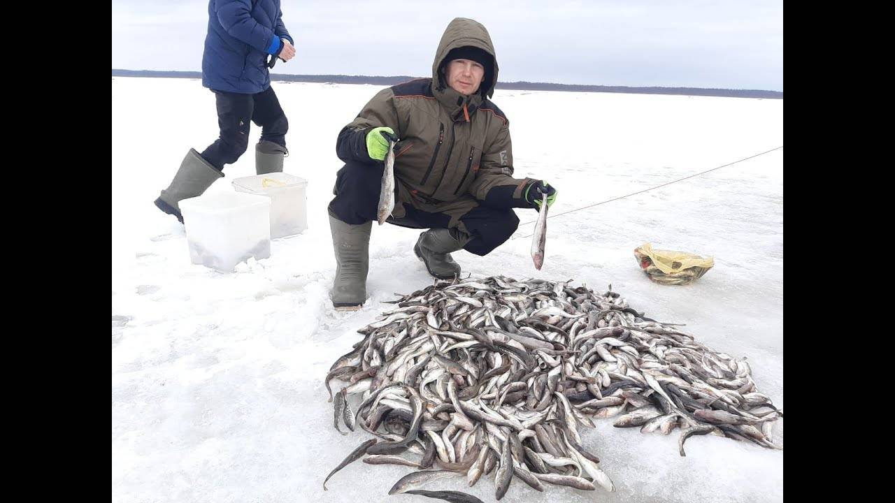 Зимняя рыбалка на море Отчет Ловля наваги на море зимой Фотоотчет