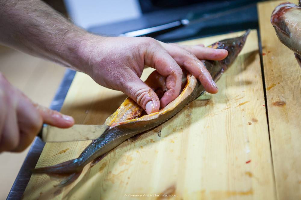 Строганина из рыбы — 4 рецепта приготовления