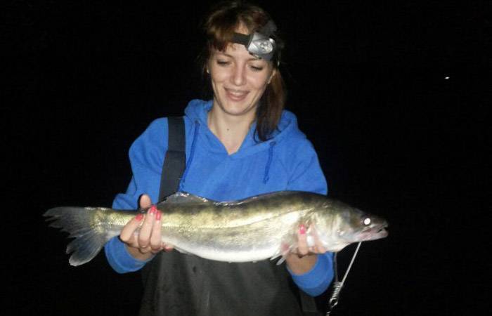 Рыбалка на байкале: ловля летом на удочку, какая балтийская рыба водится в озере