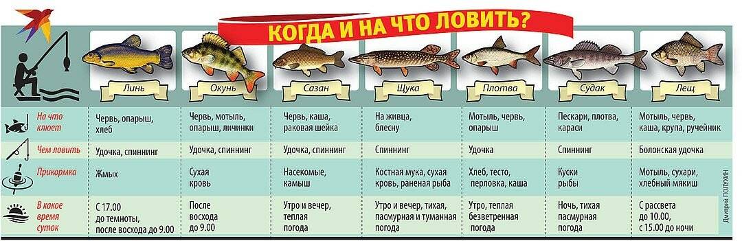 Особенности рыбалки в октябре