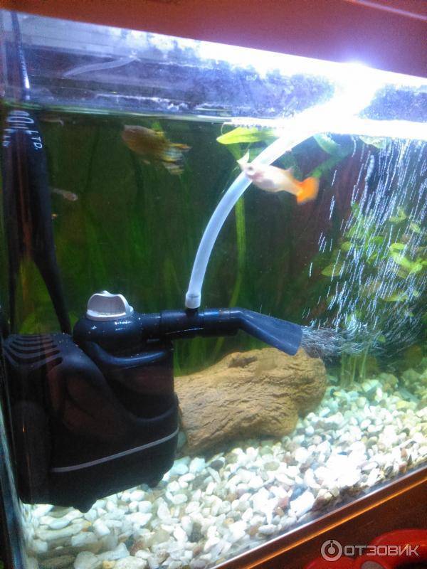 Как правильно установить аквариумный фильтр