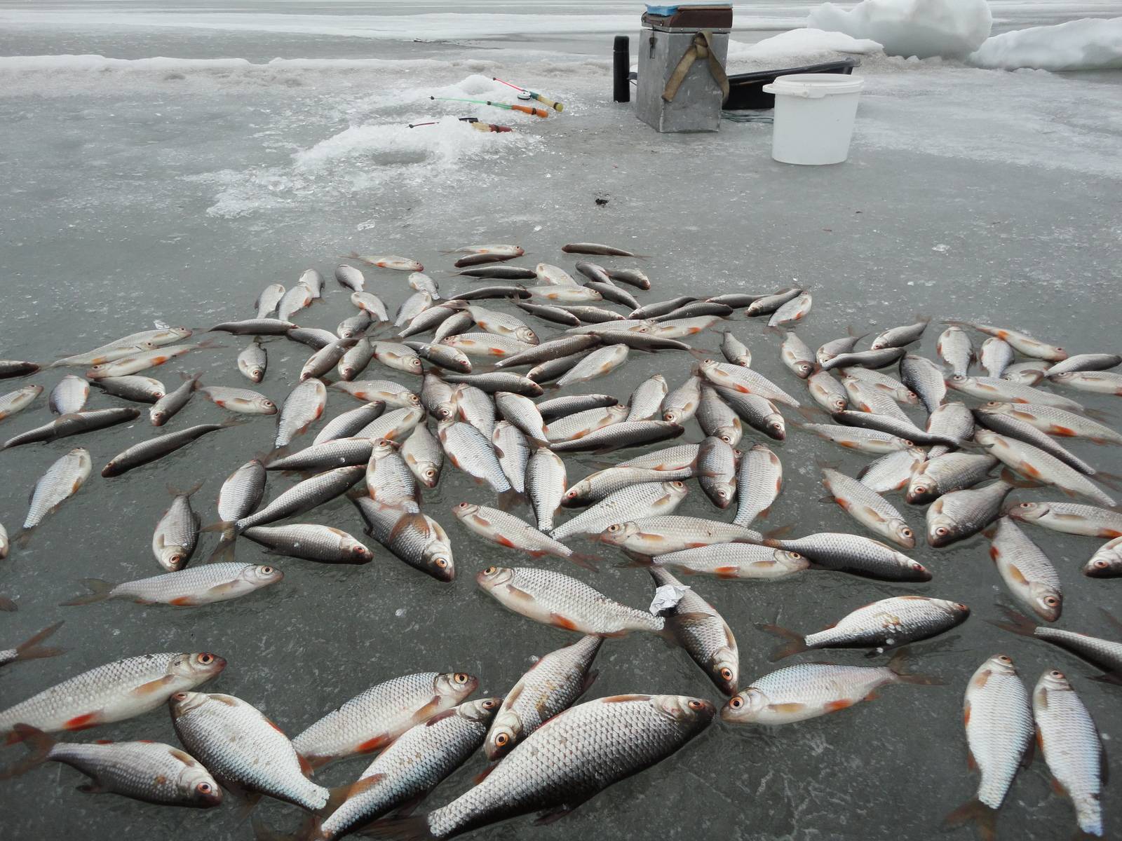 Рыбалка в сибири 2022: летом, зимой, лучшие места