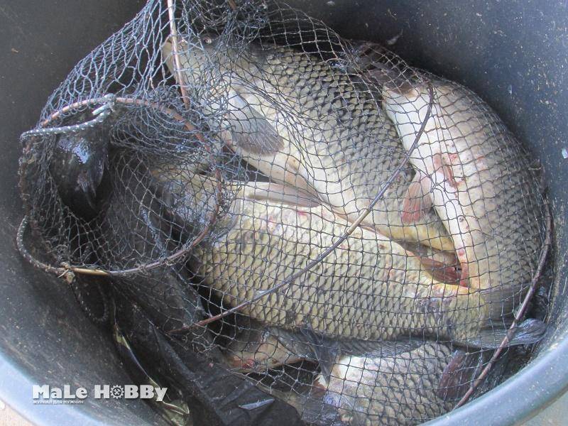 Особенности рыбалки в машково :: syl.ru