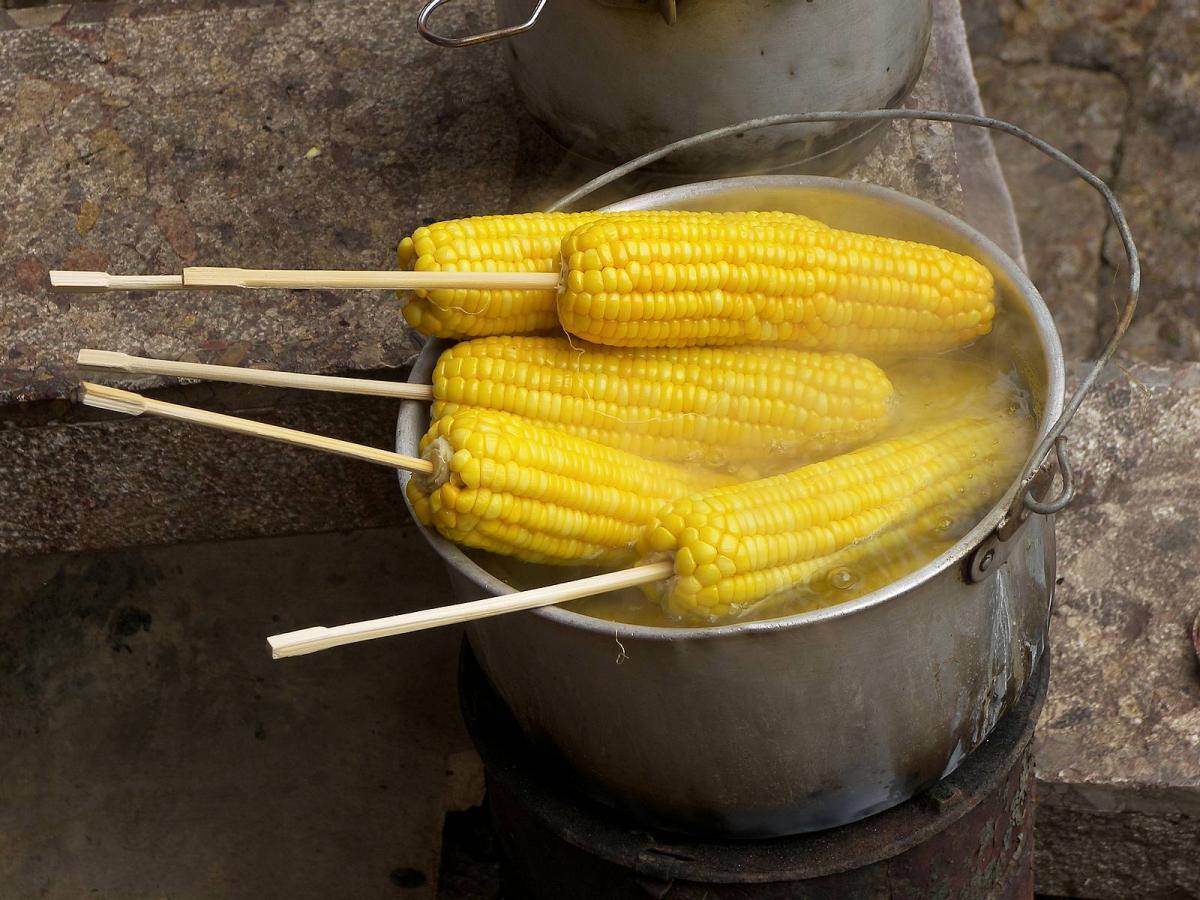 Как происходит сушка кукурузы в промышленных масштабах и как высушить её в домашних условиях