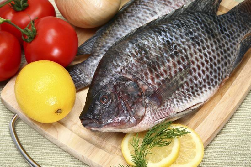 Сибас жирная или нет. сибас – о калорийности, пользе и вреде рыбы, где водится. польза рыбы сибас