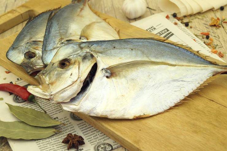 Рыба простипома — общая информация и рецепты блюд