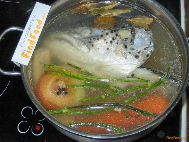 Уха из семги – кулинарный рецепт