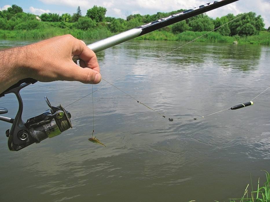 Весенняя рыбалка: какую рыбу можно ловить и когда можно рыбачить