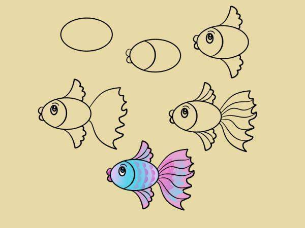 Как рисовать рыбу – учимся рисовать разных рыбок. обсуждение на liveinternet