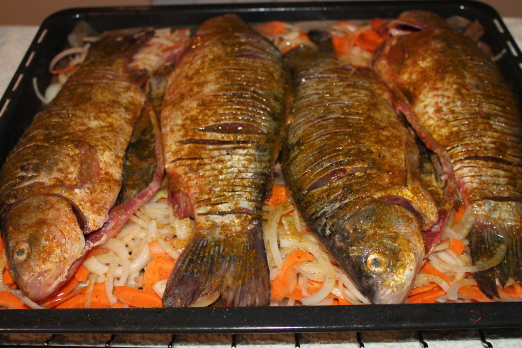 Как приготовить рыбу в духовке в рецепт с фото