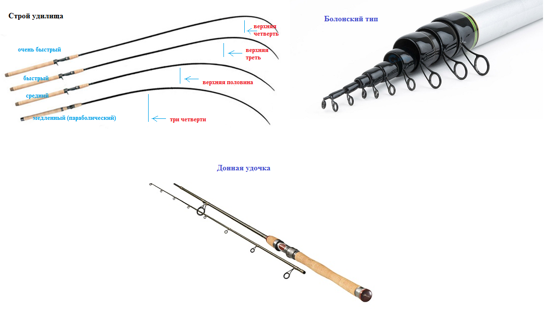 Как выбрать спиннинг для рыбалки: для начинающего, на окуня и щуку, на судака, для ловли хищника