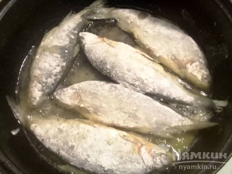 Как пожарить рыбу сырок - нескучный сад - рецепты блюд nsadcafe.ru