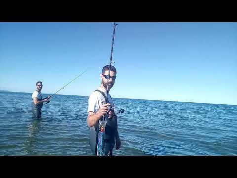 Рыбалка на черном море с берега – практические советы