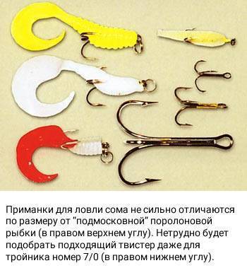 Наживка на сома: какую лучше использовать весной и летом?
