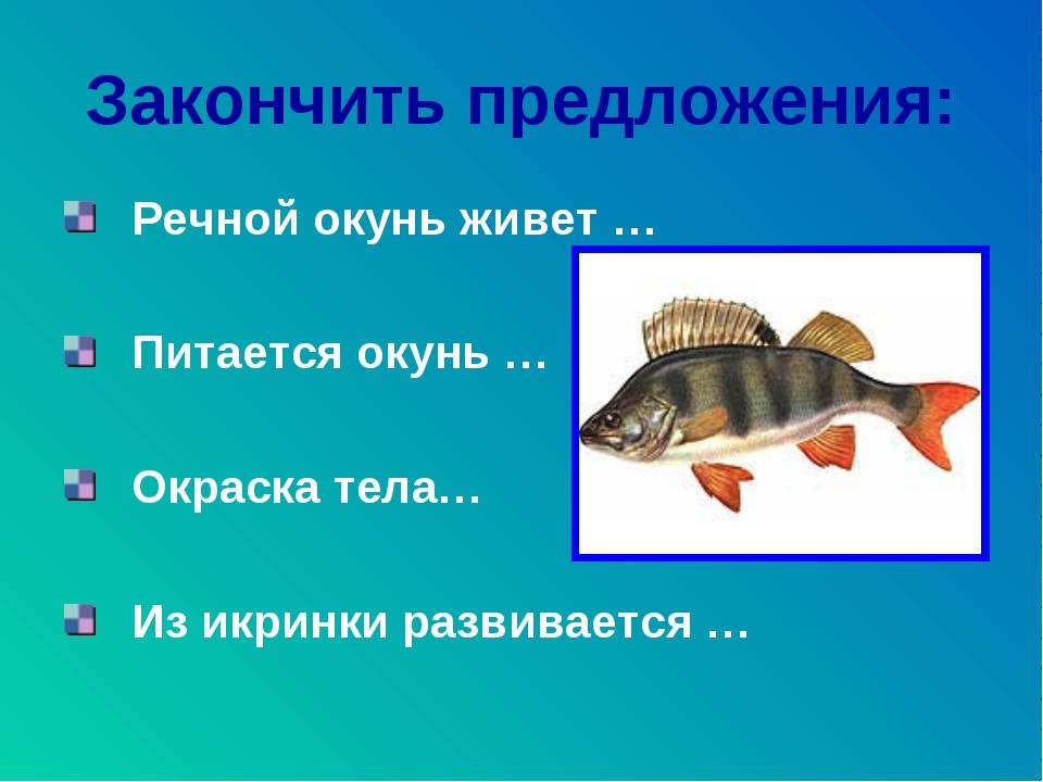Чем опасна речная рыба: профилактика описторхоза и дифиллоботриоза