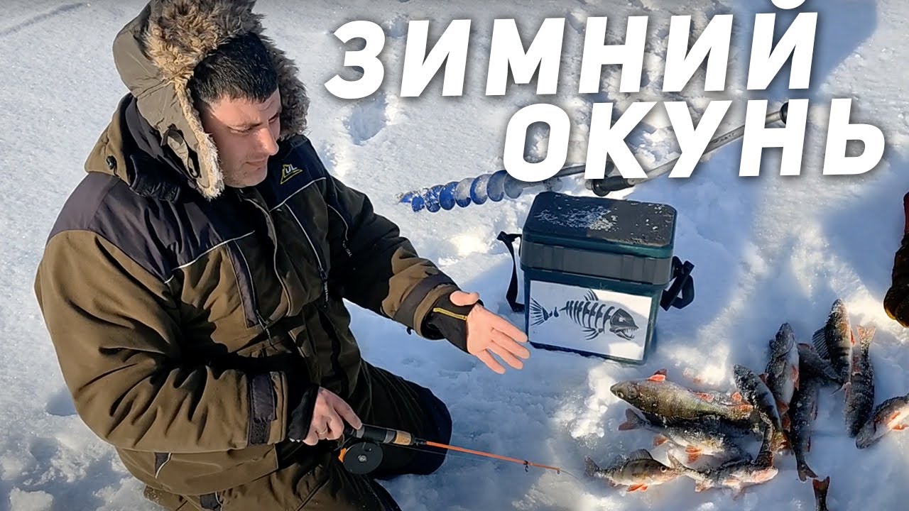 Ловля окуня: готовим снасти и подбираем приманки