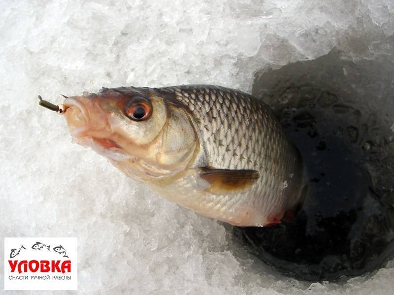 Как привязать мормышку к леске: с ушком, без него и две приманки на одну леску