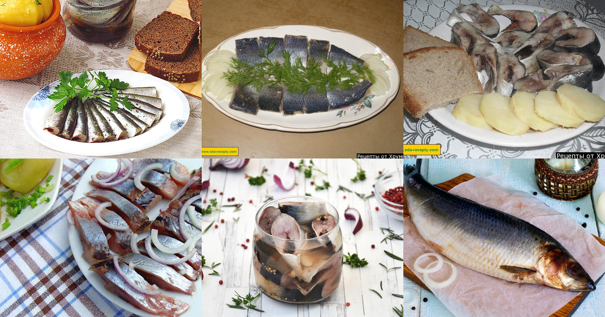 Как засолить селедку в домашних условиях три рецепта с фото пошагово вкусная кухня