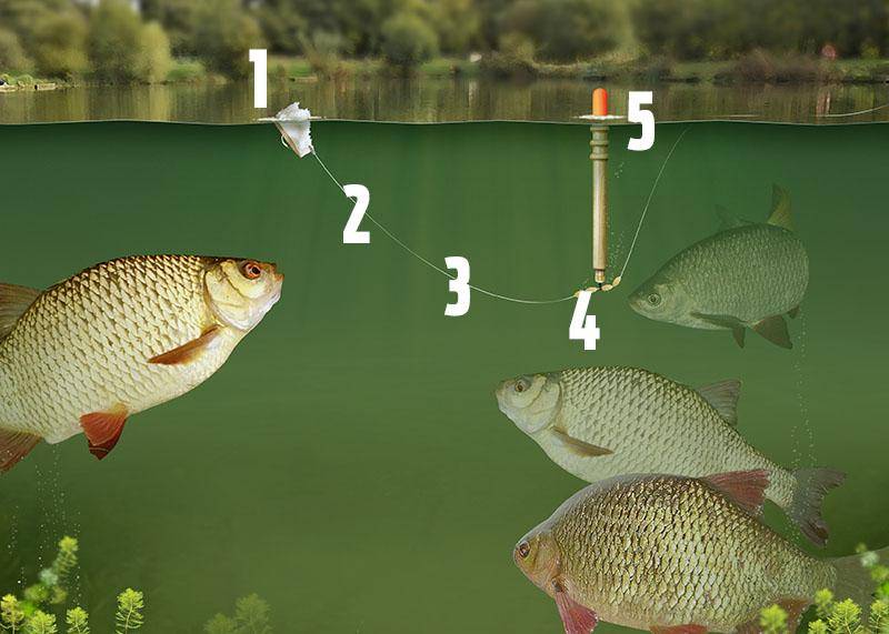 ᐉ рыбалка в мае: какую рыбу ловить в мае - ✅ ribalka-snasti.ru