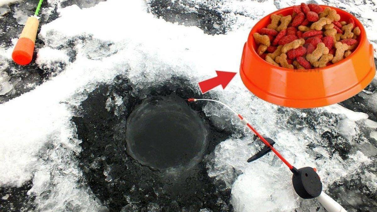 Прикормка для зимней рыбалки: какую использовать