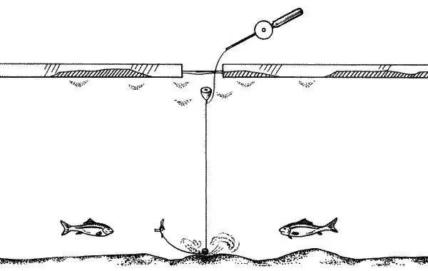 Оснастка зимней удочки для ловли плотвы: правильное устройство снасти, особенности поплавочных монтажей