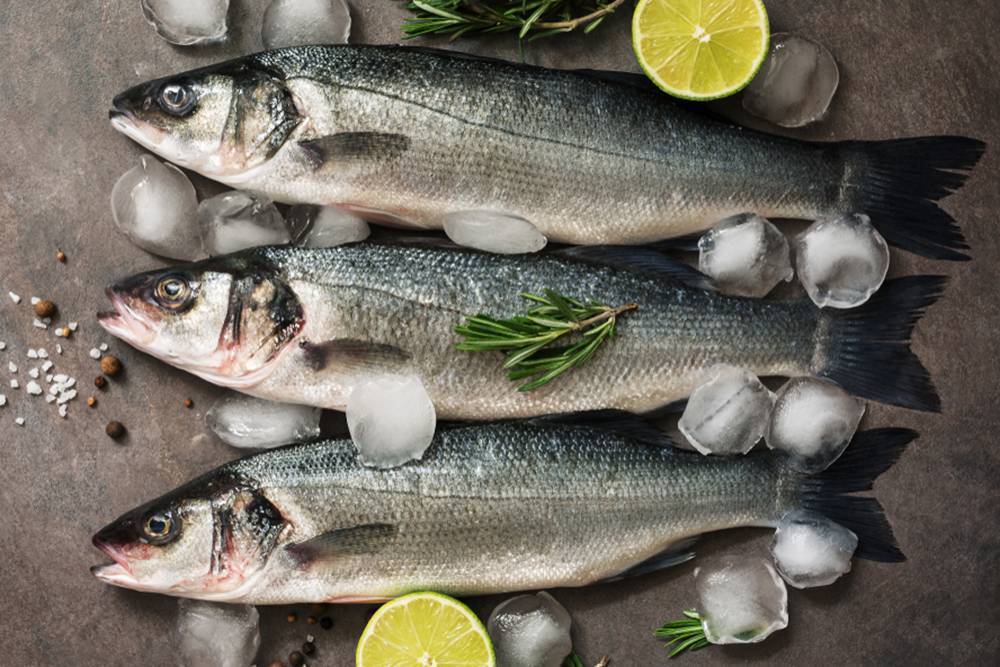 Рыба сибас: рецепты, полезные советы, интересные факты
