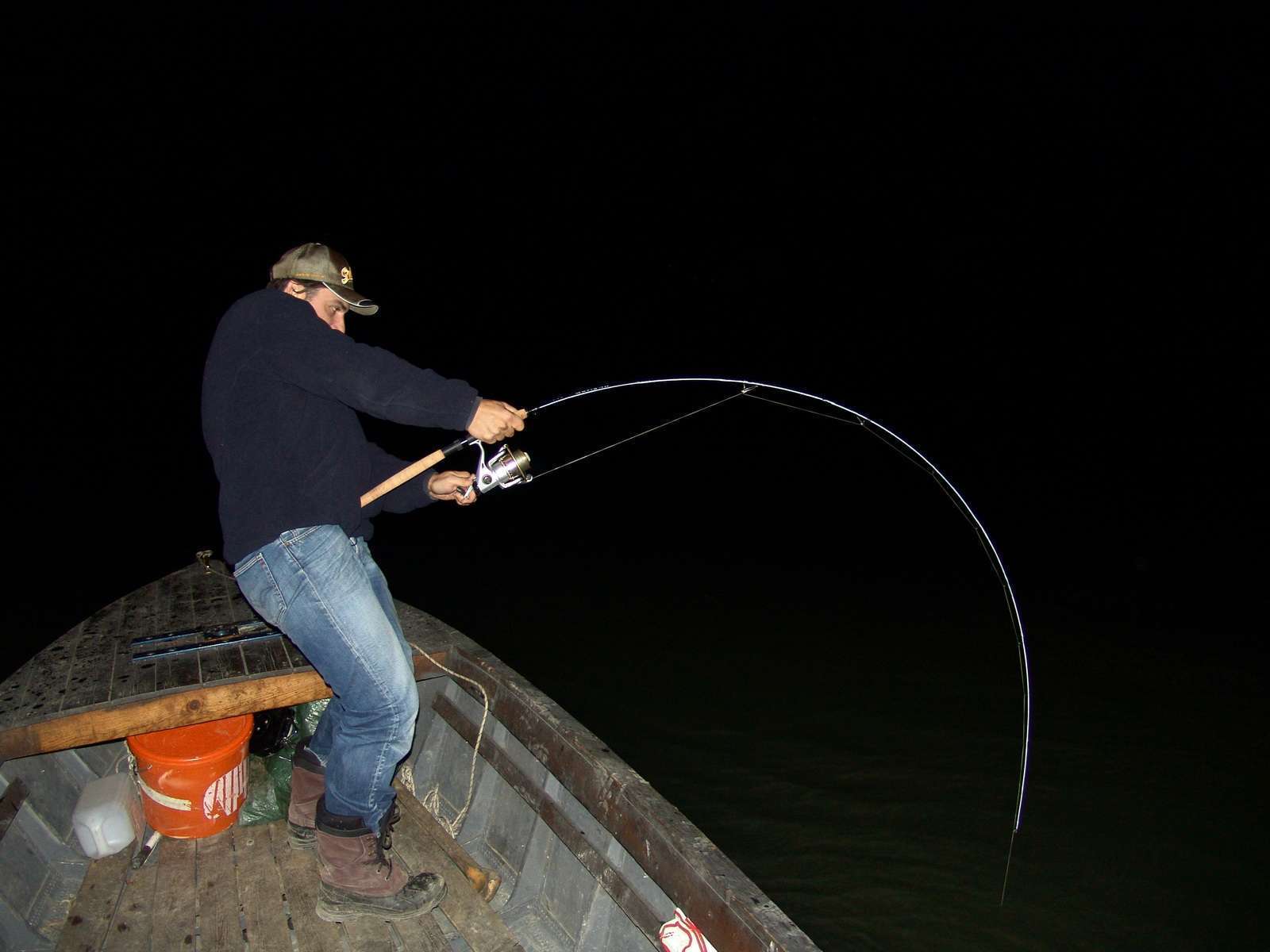 Сом ночная рыбалка фото