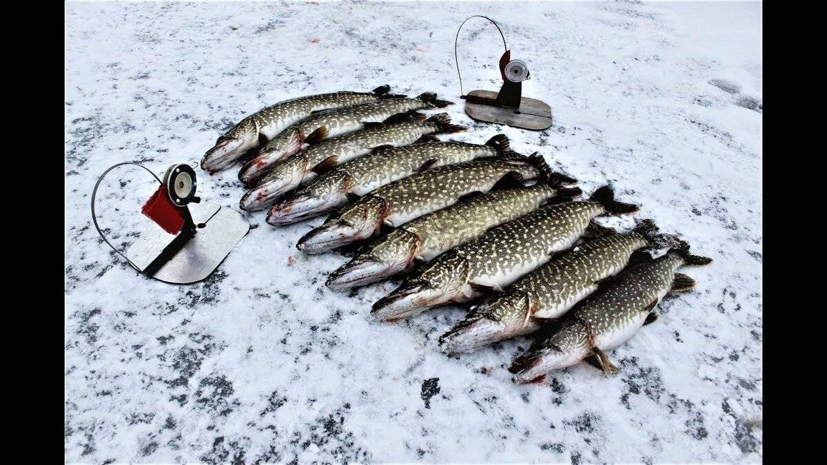 Рыбалка с ночевкой: видео, особенности ловли зимой