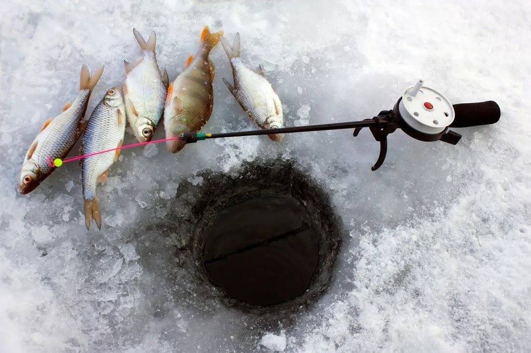 Ловля плотвы зимой — рыбалка отдых для души