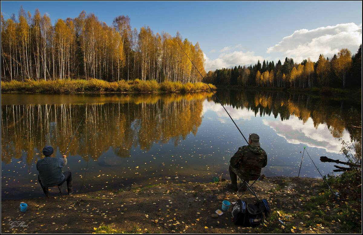 Ловля карася на озере