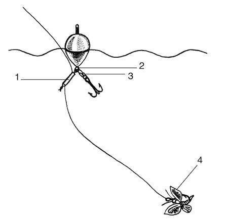 Ловля голавля на майского жука: техника ловли