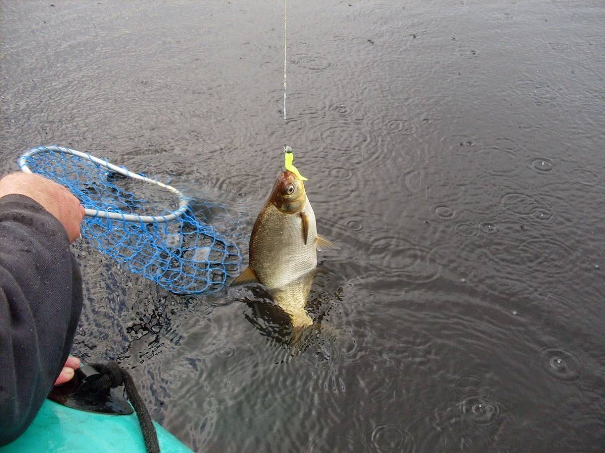 Рыбалка в декабре: какую рыбу ловить и где ее искать