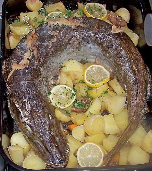 Как приготовить щуку в духовке: самые простые и вкусные рецепты запеченной рыбы - dolio.ru