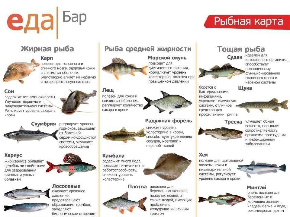 Карп