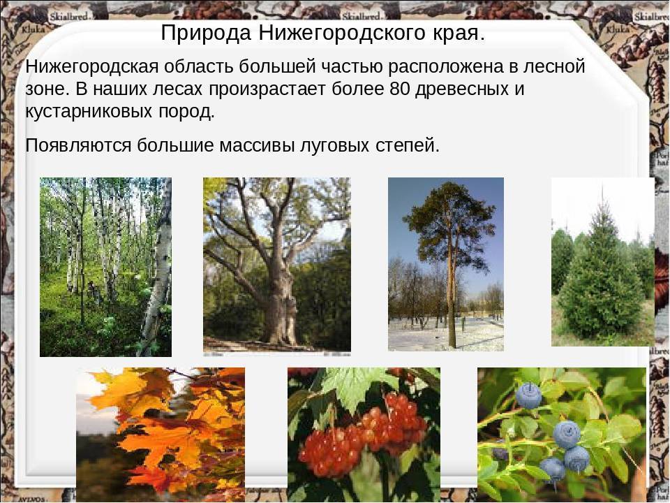 Эрзянь мастор