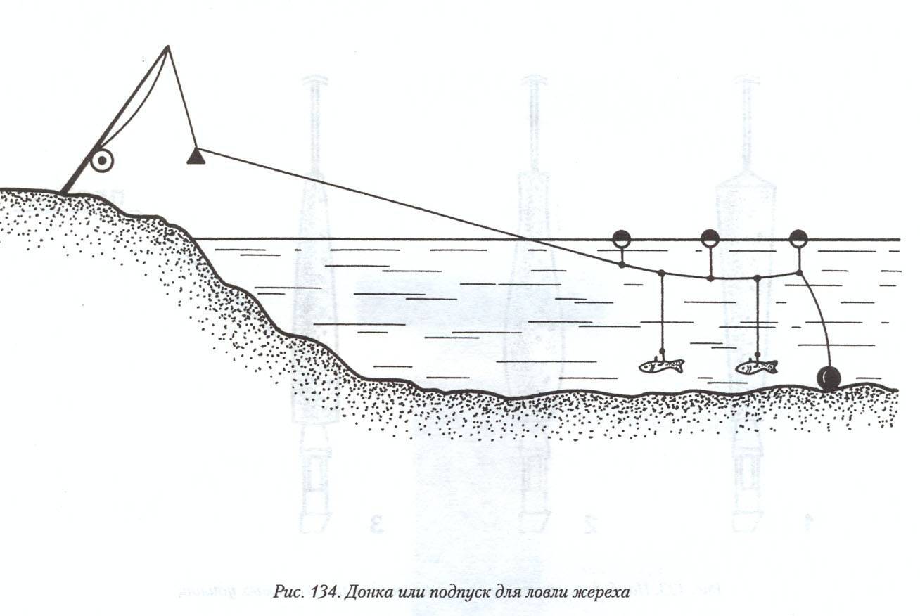 Ловля леща с лодки: схема оснастки на бортовые и другие удочки, ловля на яйца, рыбалка на течении, в стоячей воде и на подпуск