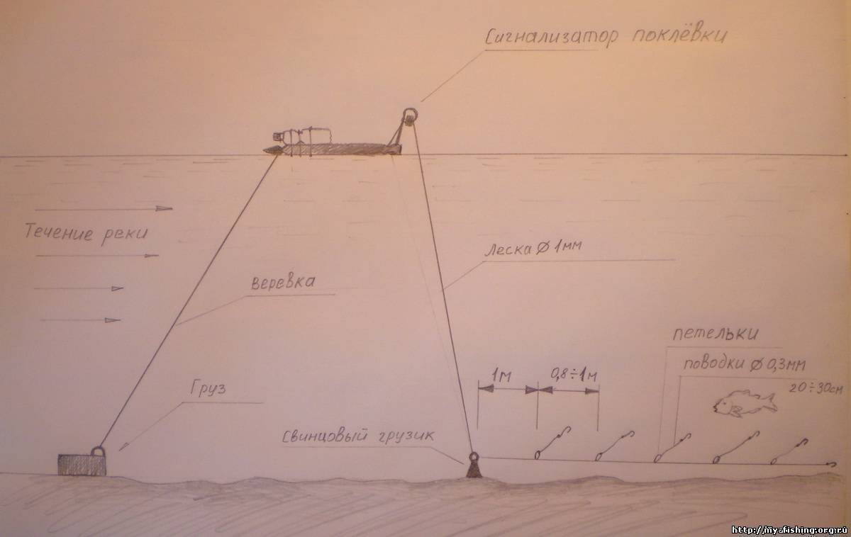 Донная снасть на осетра схема