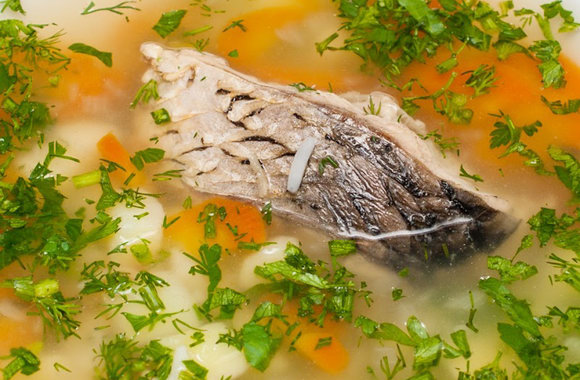 Уха из сазана: рецепты, приготовьте рыбный суп вкусным - onwomen.ru