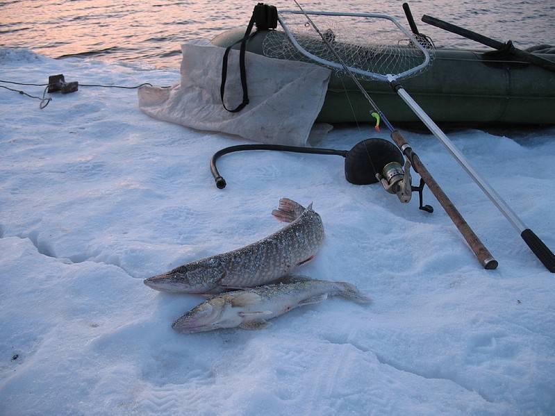 Озеро алакуль, курганская область — рыбалка, погода, фото, природные особенности, на карте, как добраться