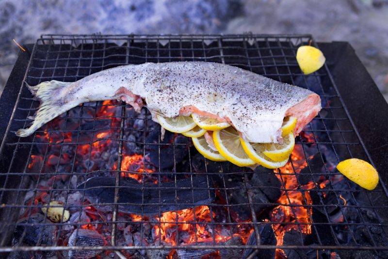 Как правильно делать шашлык из рыбы на мангале на решётке