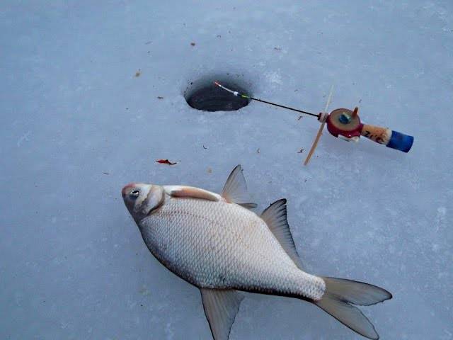 12 лучших мормышек на карася зимой и техника ловли рыбы со льда
12 лучших мормышек на карася зимой и техника ловли рыбы со льда