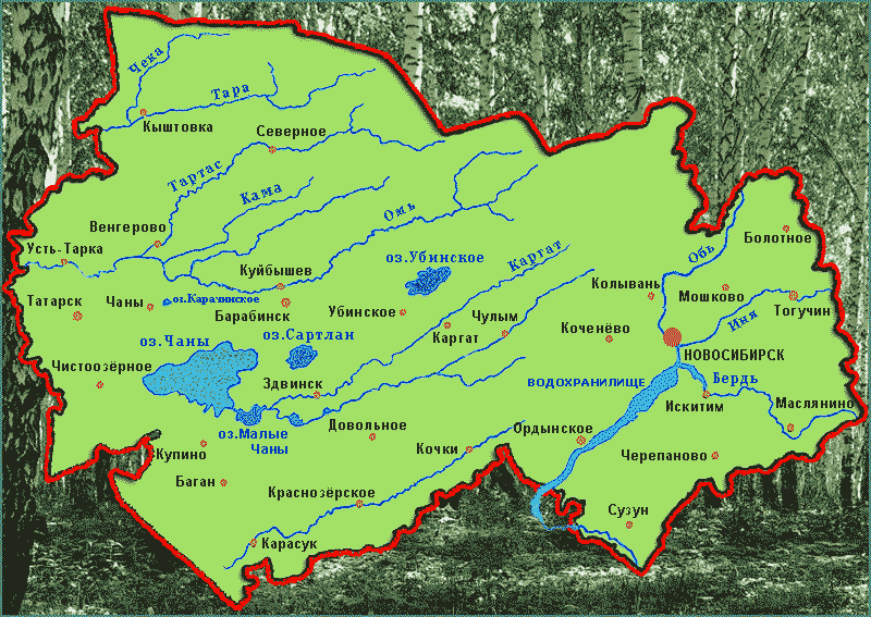 Карта нсо купино