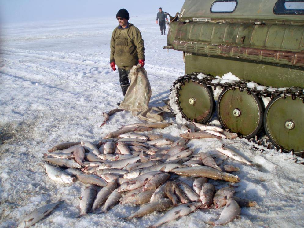Рыбалка в подмосковье. лучшие места где можно порыбачить в московской области