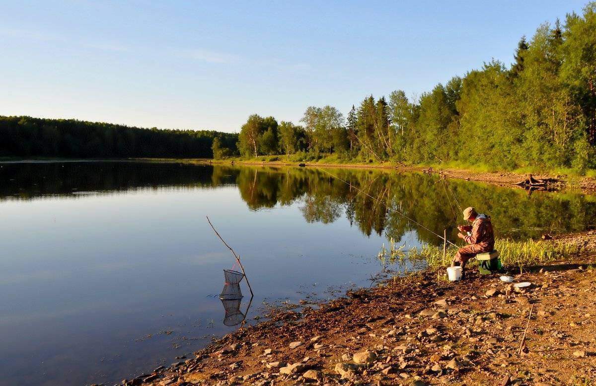 Ловить речную. Река Плюсса рыбалка. Озеро Жижицкое рыбалка. Рыбалка на речке. Речка природа рыбалкарыба.