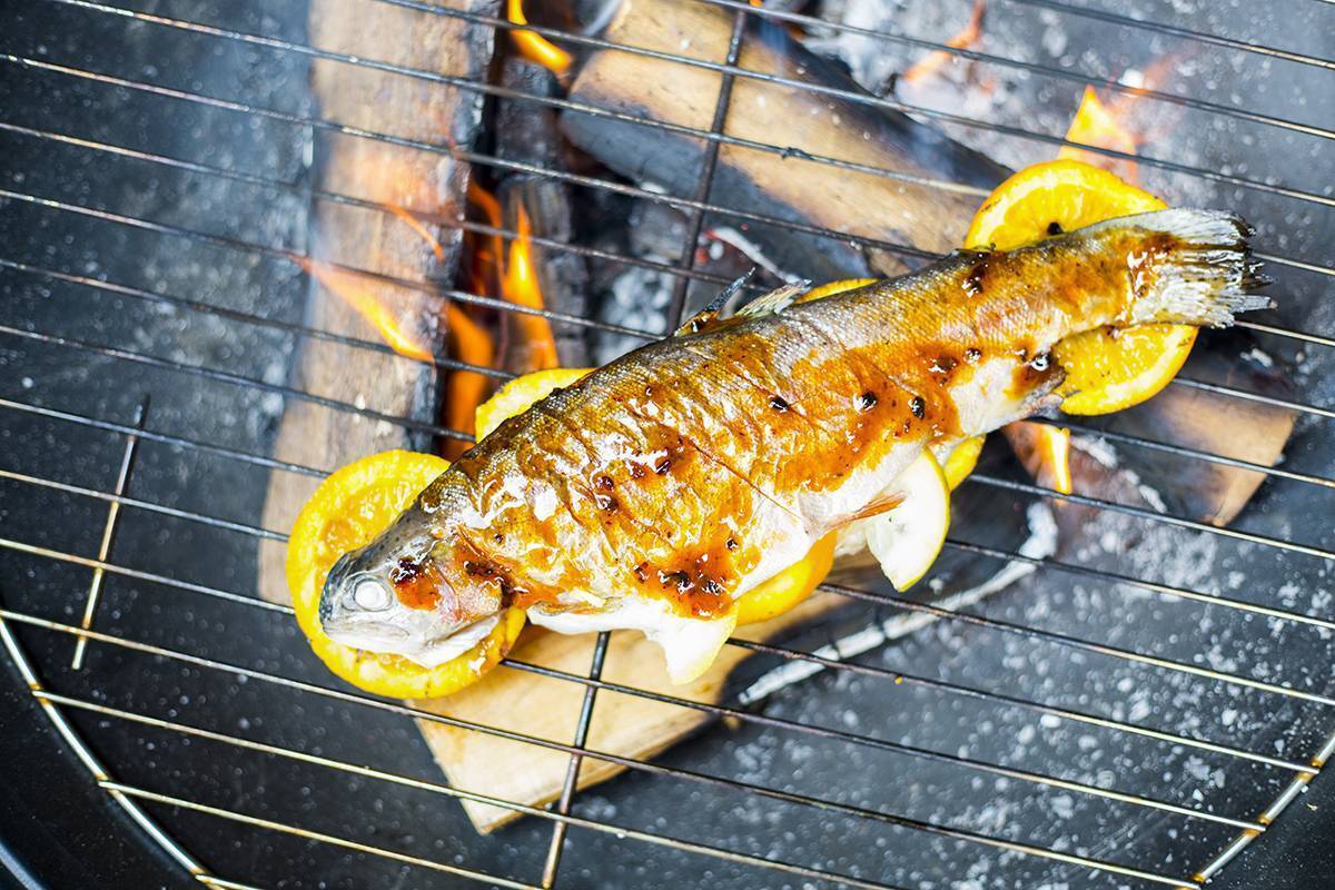 Форель на гриле – лучшие рецепты маринада, приготовление рыбы на сковороде, микроволновке и на костре