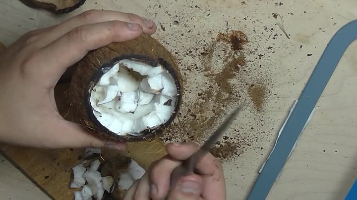 Поделки из скорлупы кокосового ореха своими руками