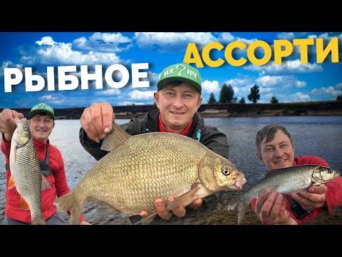 Ловля леща на фидер - ловля на течении и стоячей воде: осенью, летом